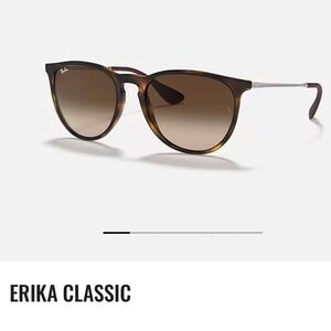 Ray-Ban Erika Sunglasses